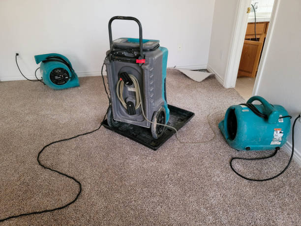 Best Ceiling water damage repair  in Crafton, PA
