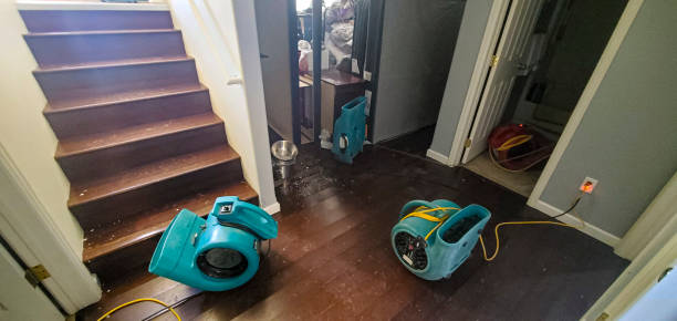Best Mold removal after water damage  in Crafton, PA