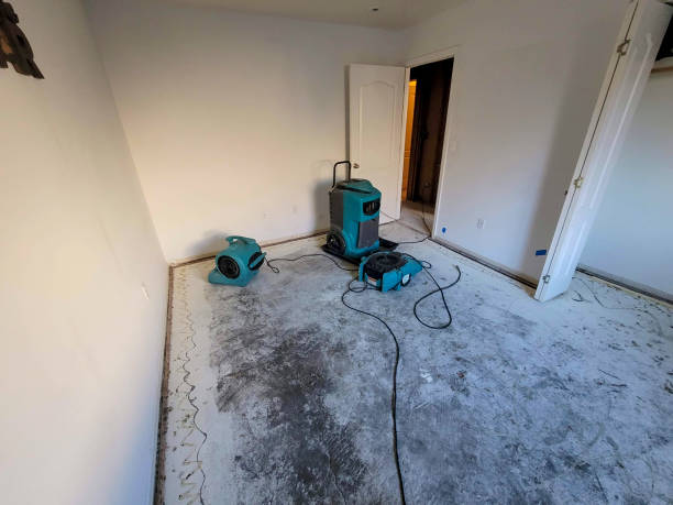 Best Professional water damage repair  in Crafton, PA