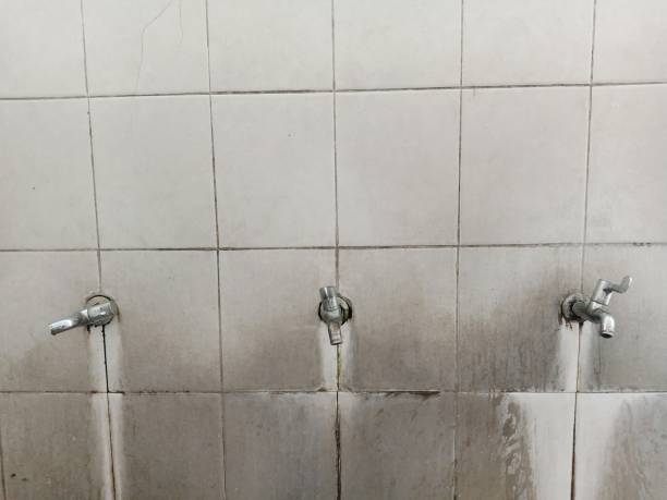 Best Flood restoration services  in Crafton, PA