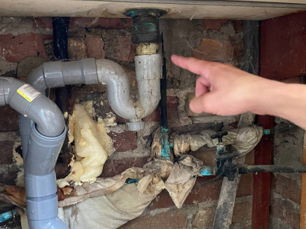 Best Professional water damage repair  in Crafton, PA