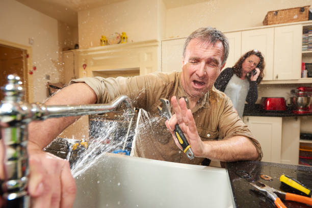 Best Mold removal after water damage  in Crafton, PA